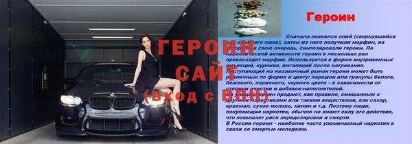 ECSTASY Бородино