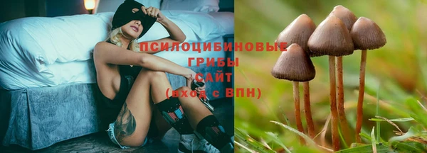 ECSTASY Бородино