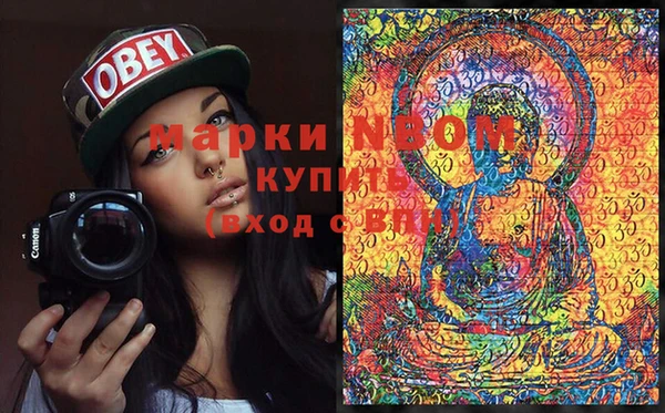 ECSTASY Бородино