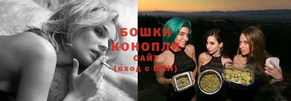 молекула духа Бугульма