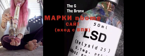ECSTASY Бородино