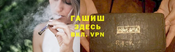 ECSTASY Бородино