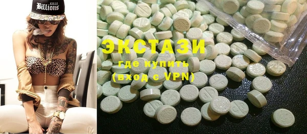 ECSTASY Бородино