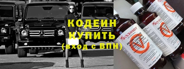 ECSTASY Бородино