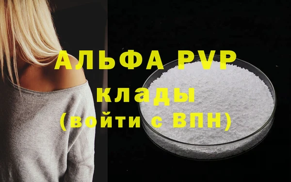 ECSTASY Бородино