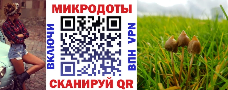 купить наркотики сайты  Янаул  Галлюциногенные грибы мухоморы 